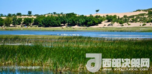 阿魯科爾沁保護(hù)區(qū)濕地沙丘。吳勇攝