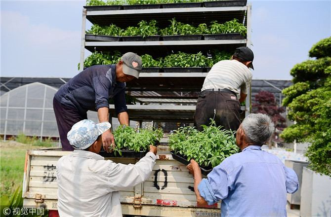 數(shù)字經(jīng)濟(jì)已經(jīng)成為我國經(jīng)濟(jì)社會(huì)更好發(fā)展的重要推動(dòng)力，也為我國鄉(xiāng)村發(fā)展提供了新的歷史機(jī)遇。（圖片來源：視覺中國）