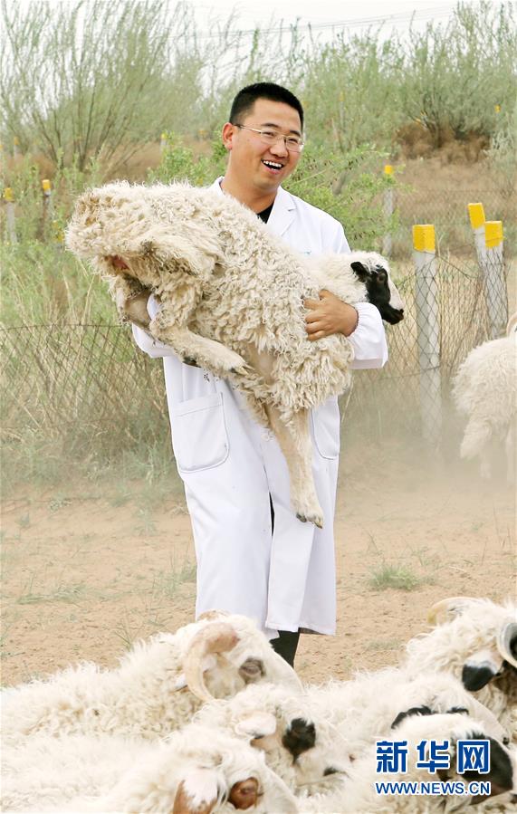 （壯麗70年·奮斗新時代——共和國發(fā)展成就巡禮·圖文互動）（3）生態(tài)美、百姓富——品讀嶄新“寧夏畫卷”