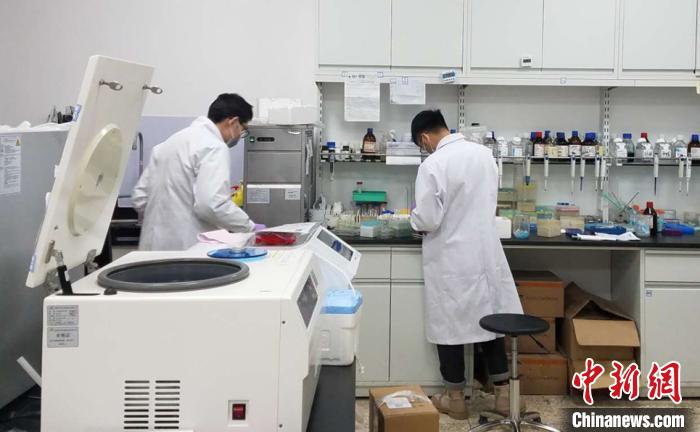 甘肅新冠肺炎輔助鑒別篩查系統(tǒng)上線(xiàn)：“智尋”潛在患者