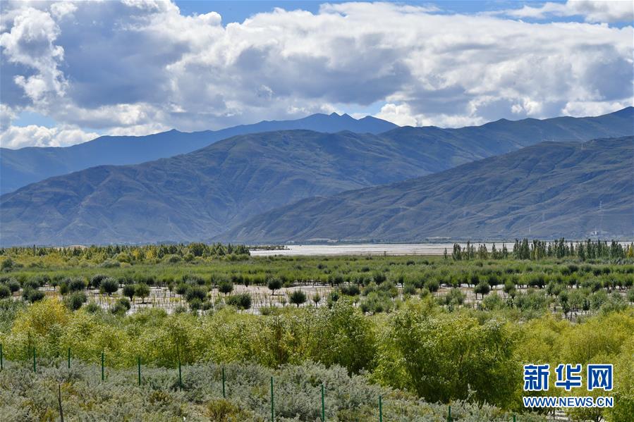 （圖文互動）（4）“今天的生活，就像夢里夢到那樣甜”——寫在西藏百萬農(nóng)奴解放61周年之際