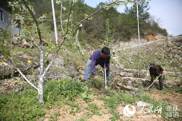 點擊進(jìn)入下一頁