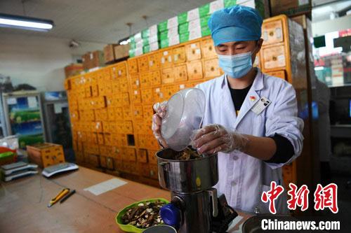 疫情發(fā)生以來，甘肅確保所有病例盡早、及時、全程使用中醫(yī)中藥，努力做到“一患一方案”。(資料圖) 楊艷敏 攝