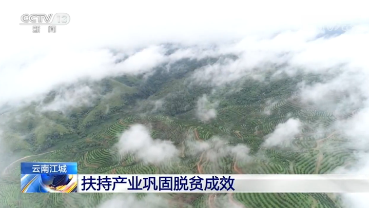 點擊進(jìn)入下一頁