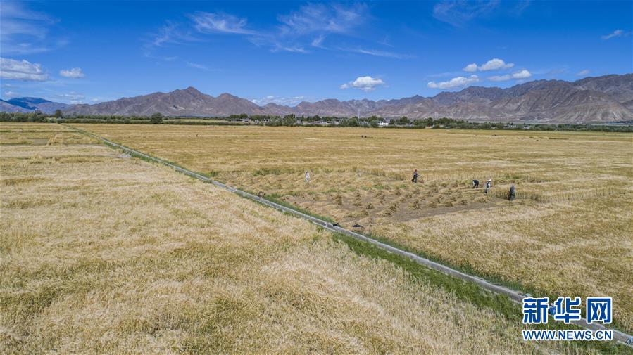 （新華全媒頭條·走向我們的小康生活·圖文互動(dòng)）（11）扎西德勒，我們的新家園——西藏易地扶貧搬遷搬出幸福美好新生活